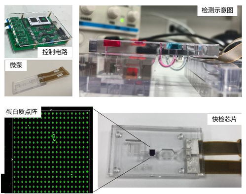 上海工研院微流控技術(shù)推進(jìn)生物芯片研發(fā)，引領(lǐng)生物科技新浪潮