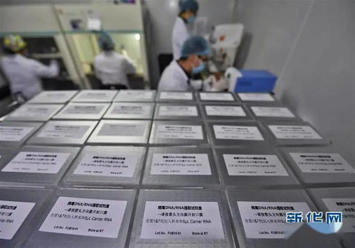 只有源頭創(chuàng)新，才能突破醫(yī)療器械領(lǐng)域“掐脖子”問(wèn)題——專訪生物醫(yī)學(xué)工程專家樊瑜波